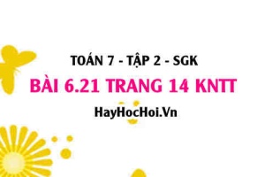 Bài 6.21 trang 14 Toán 7 Tập 2 Kết nối tri thức